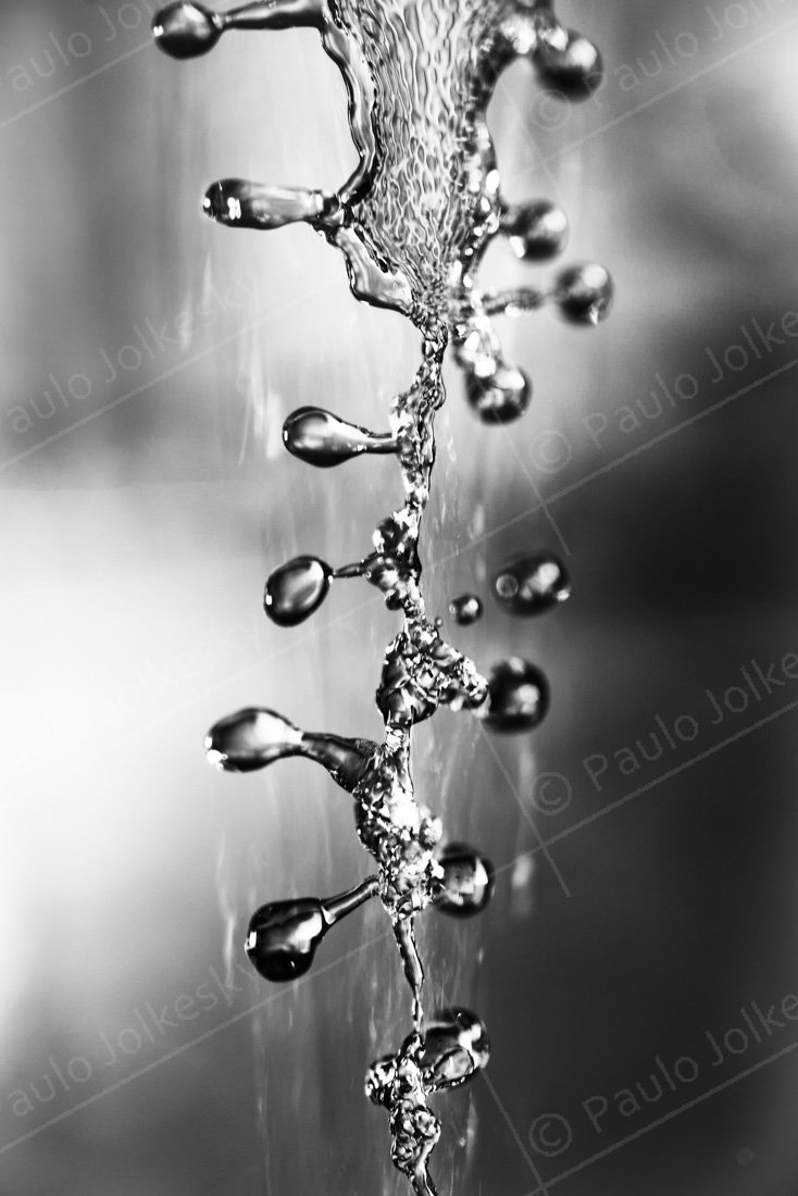 2015_11_SPLASH_188-Editar-final